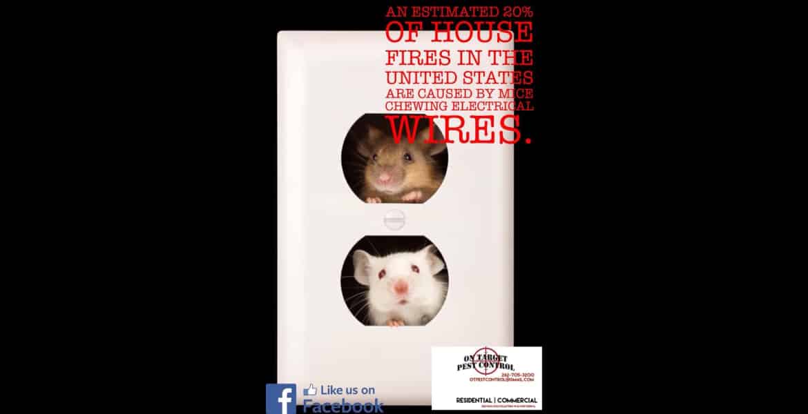 On Target Pest Control